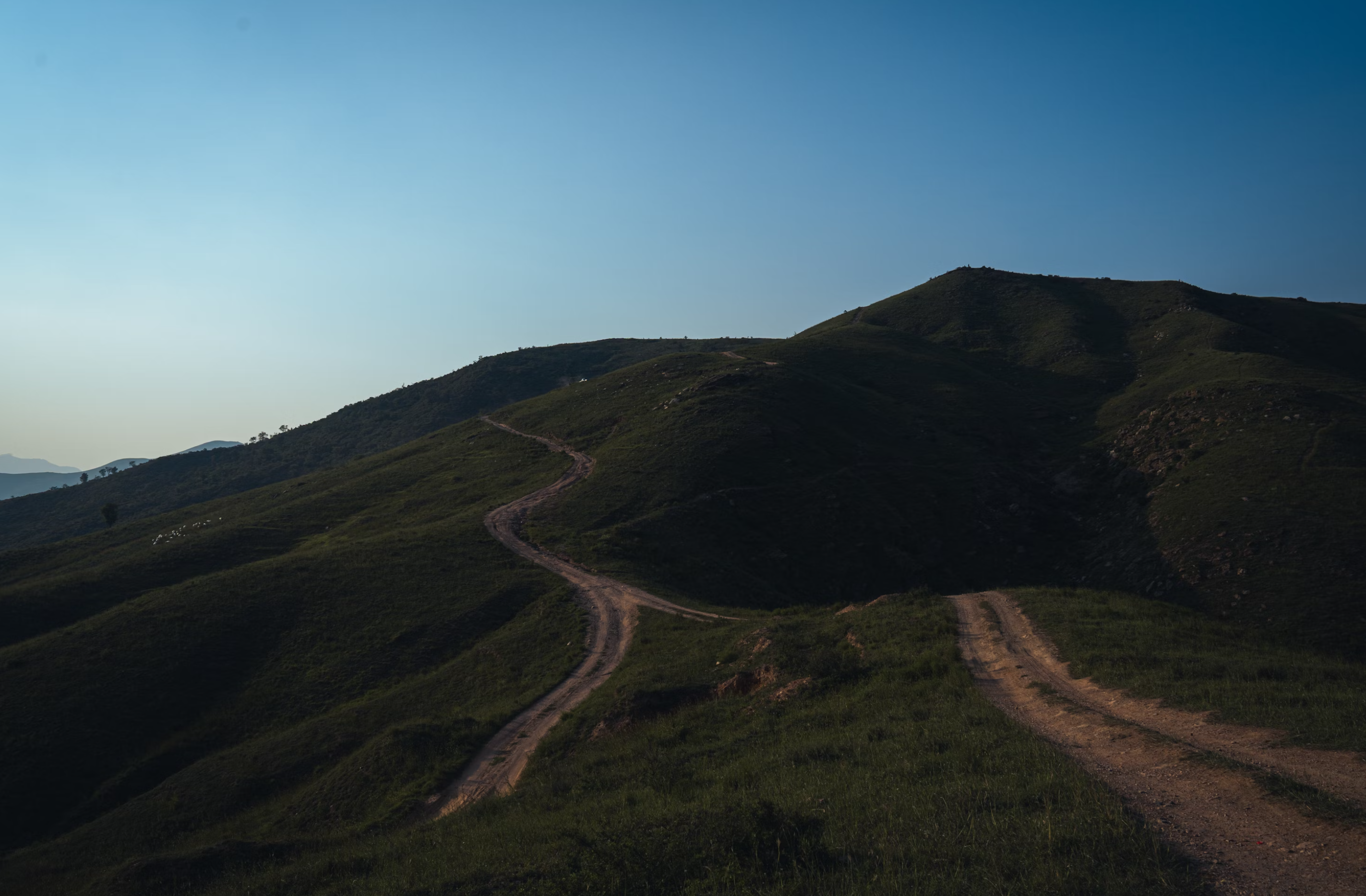 Winding dirt path on a grassy hillside at dusk